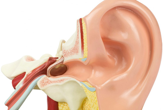 Congenital-Atresia-of-the-Ear