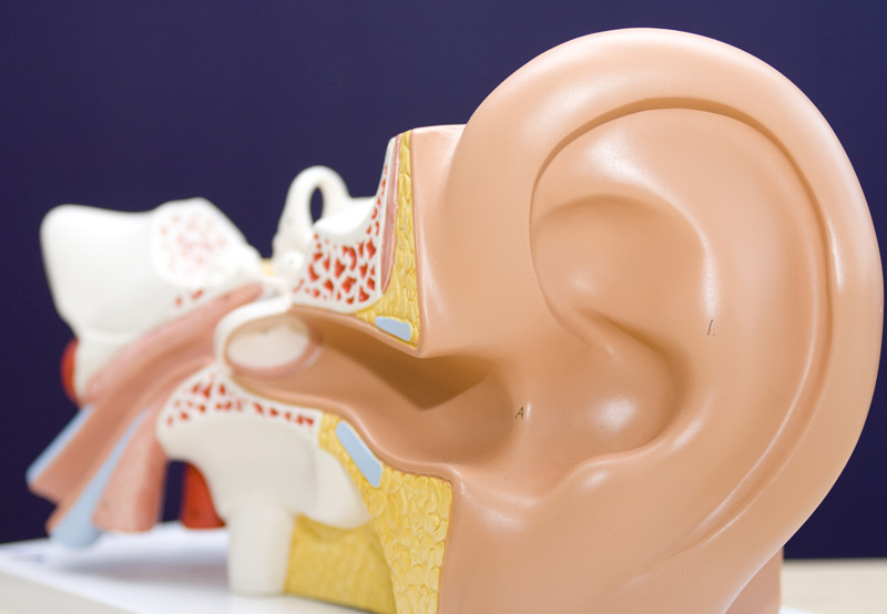 Surgery-for-Hearing-Loss-Reconstruction-Dr.-Hamid-Djalilian